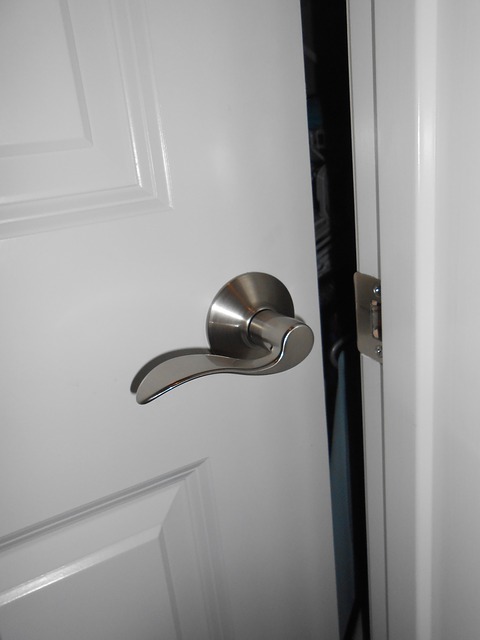 lever-style door handle